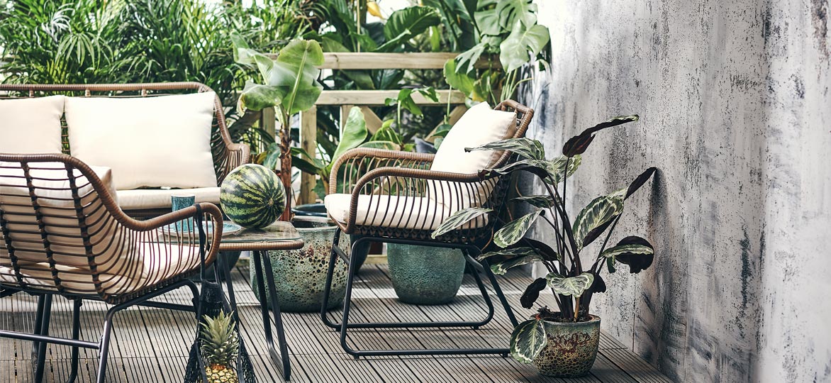 Exotic Jungle